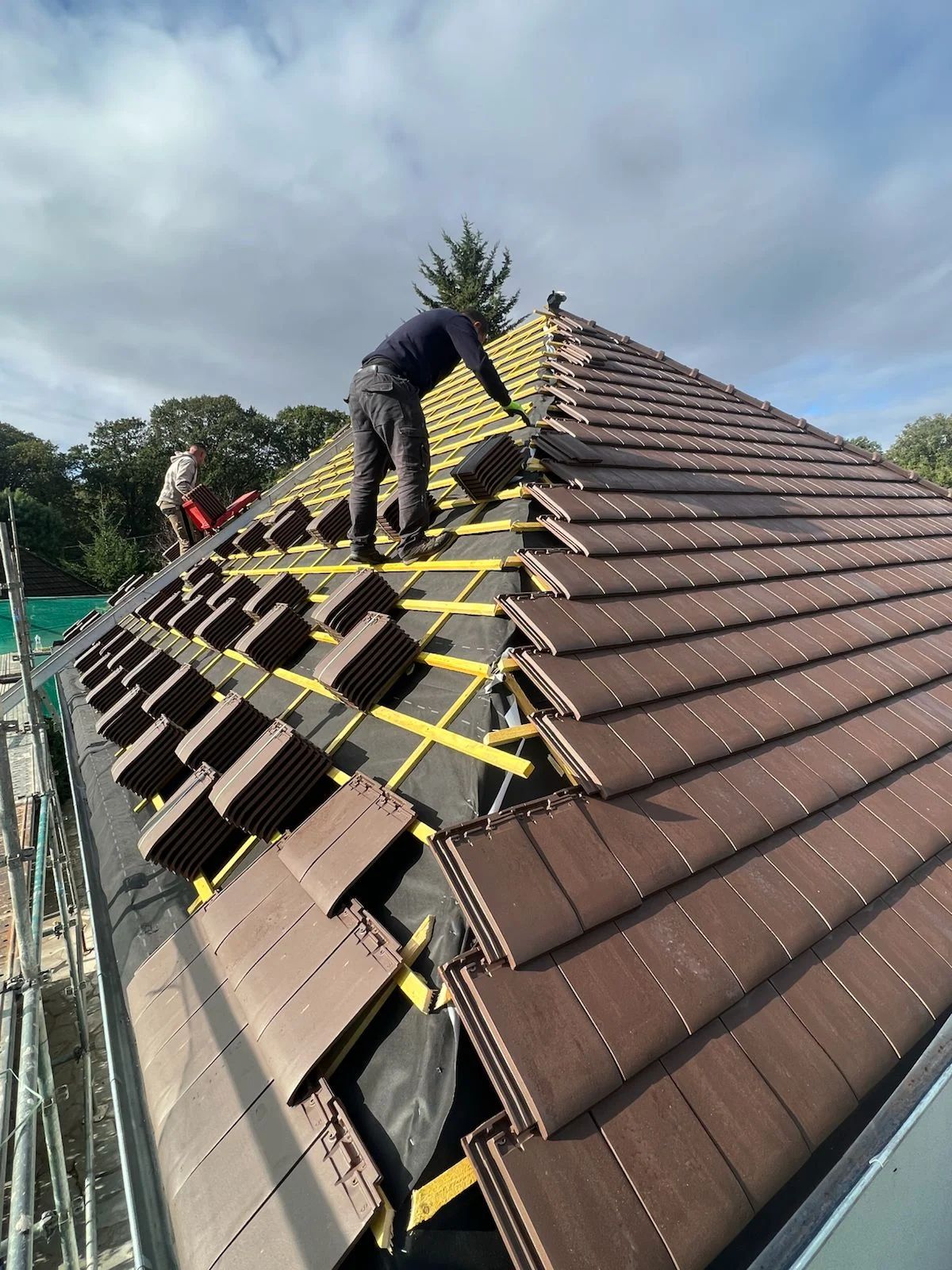 Remplacement de tuiles et traitement des rives