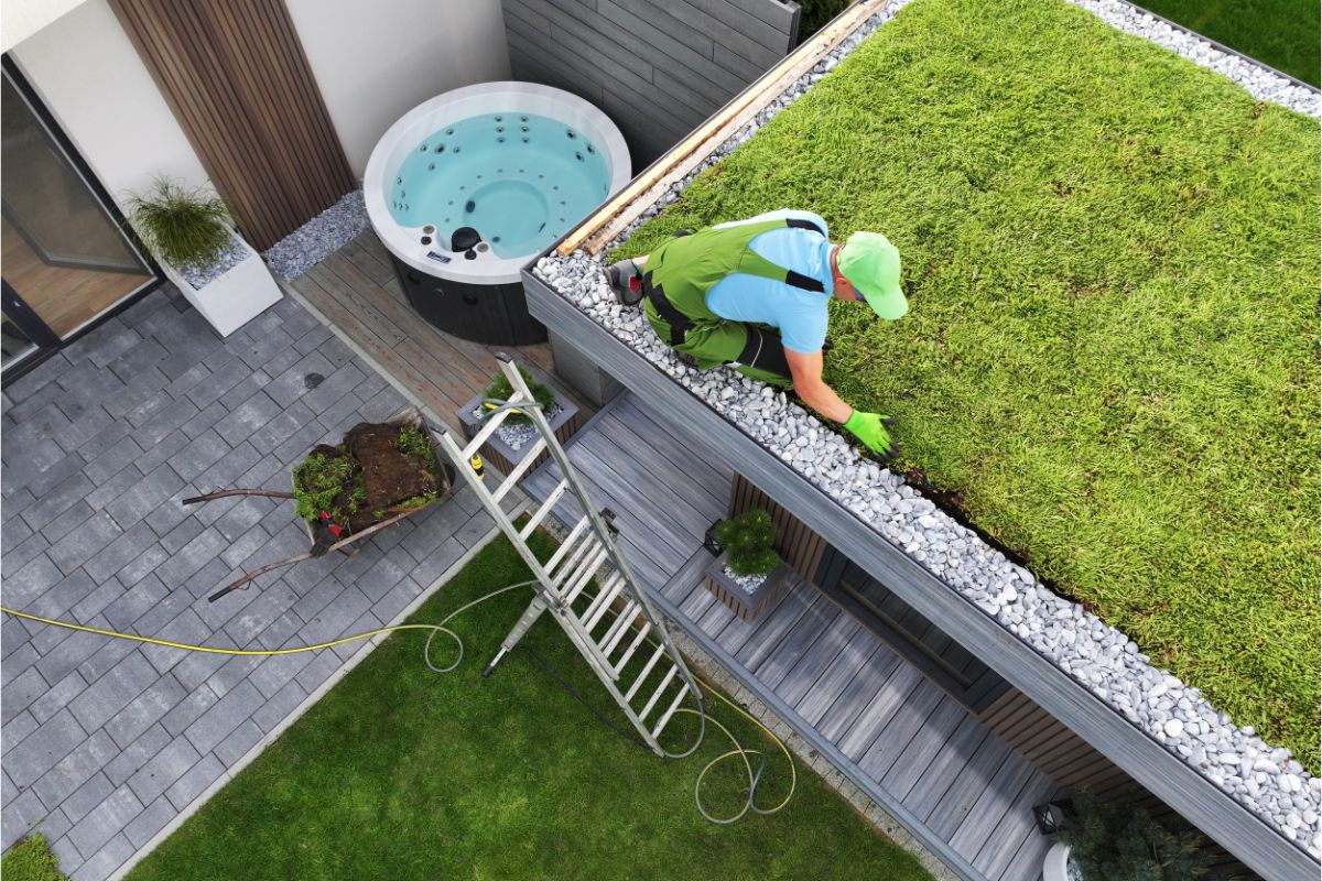 Toiture Terrasse Végétalisée